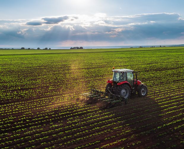 農業における事業承継を成功させるポイント・承継者の在り方について解説